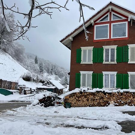 Old Farmhouse Loft Near Vaduz Sevelen المظهر الخارجي الصورة