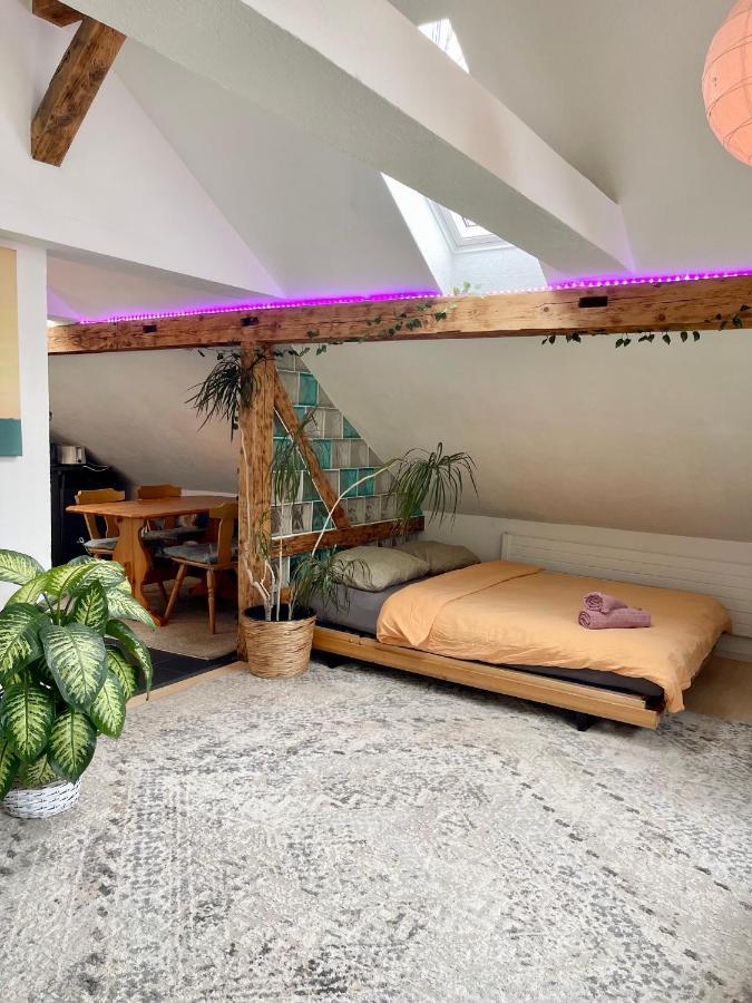 Old Farmhouse Loft Near Vaduz Sevelen المظهر الخارجي الصورة