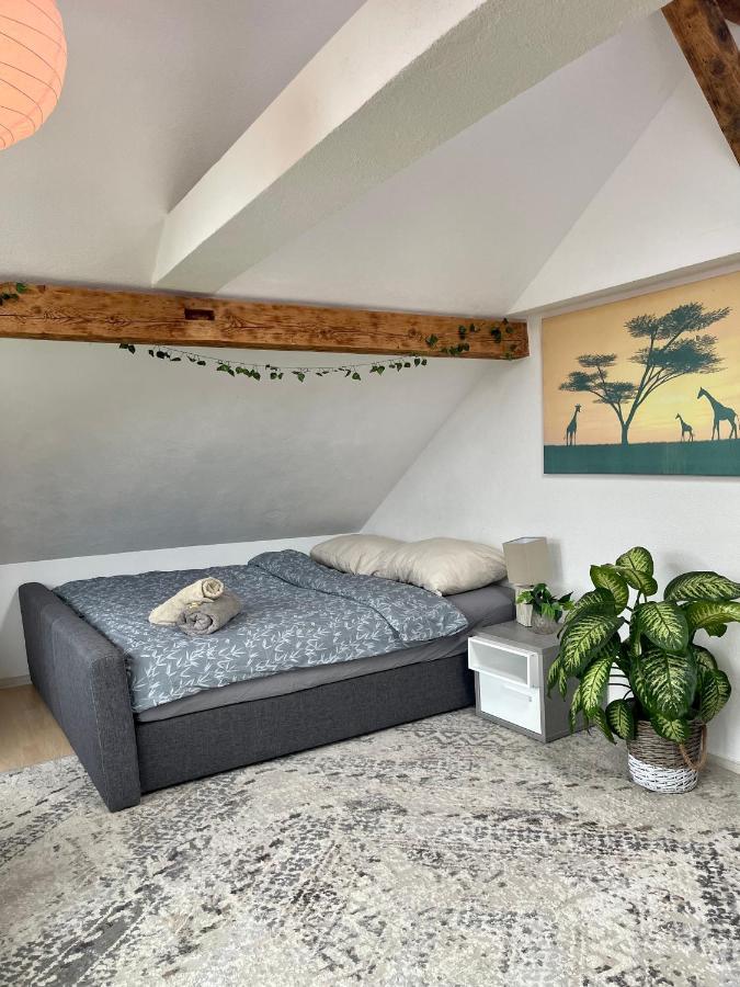 Old Farmhouse Loft Near Vaduz Sevelen المظهر الخارجي الصورة