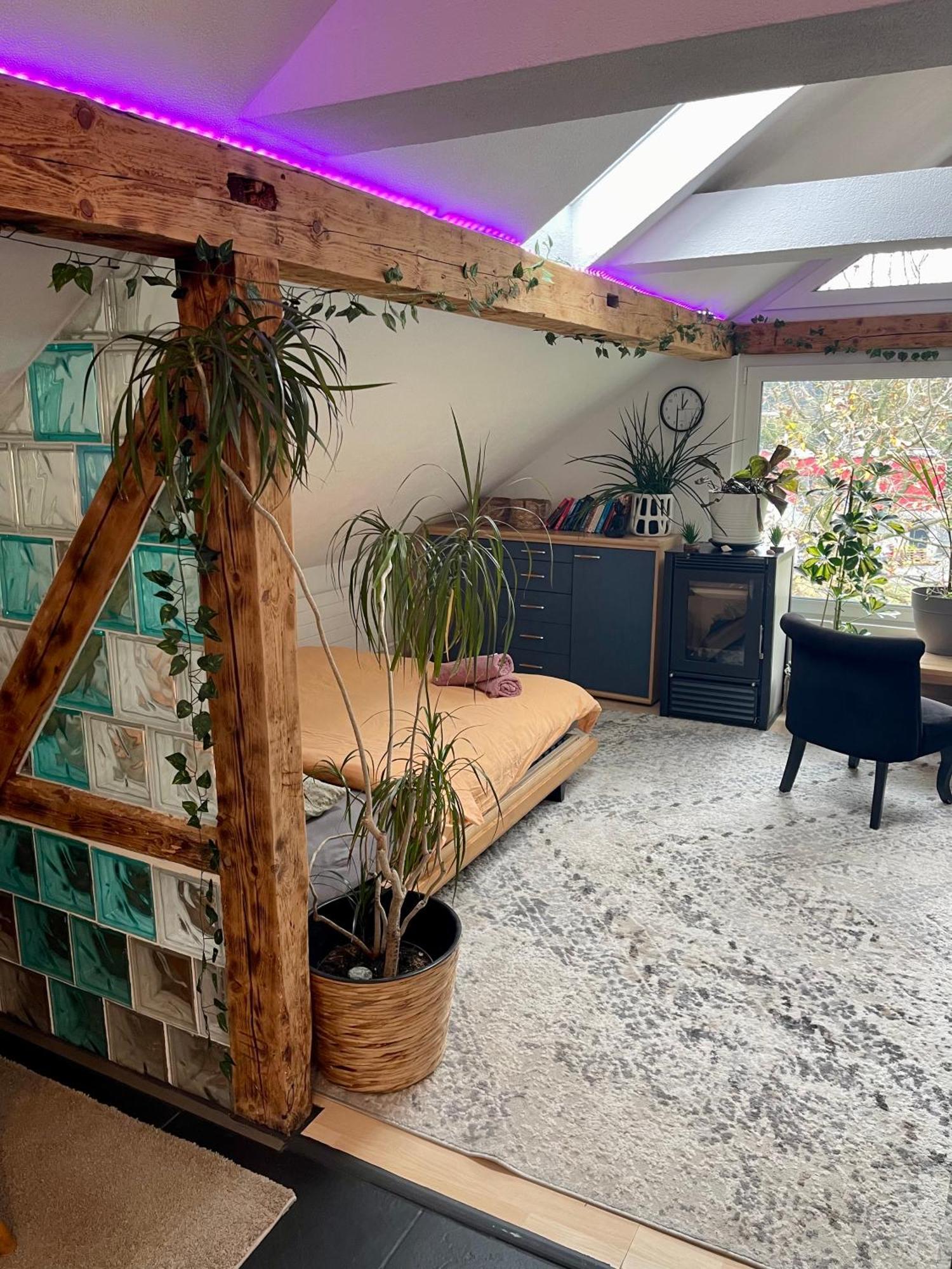 Old Farmhouse Loft Near Vaduz Sevelen المظهر الخارجي الصورة